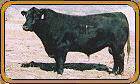 Stevenson Silverado N195 