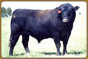 TFI POLLED AFTERSHOCK