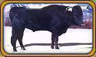 Durango